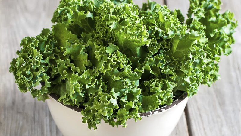 Kale Salad recipe